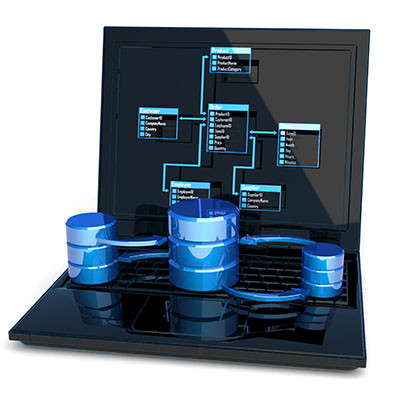 Understanding the Database Management System